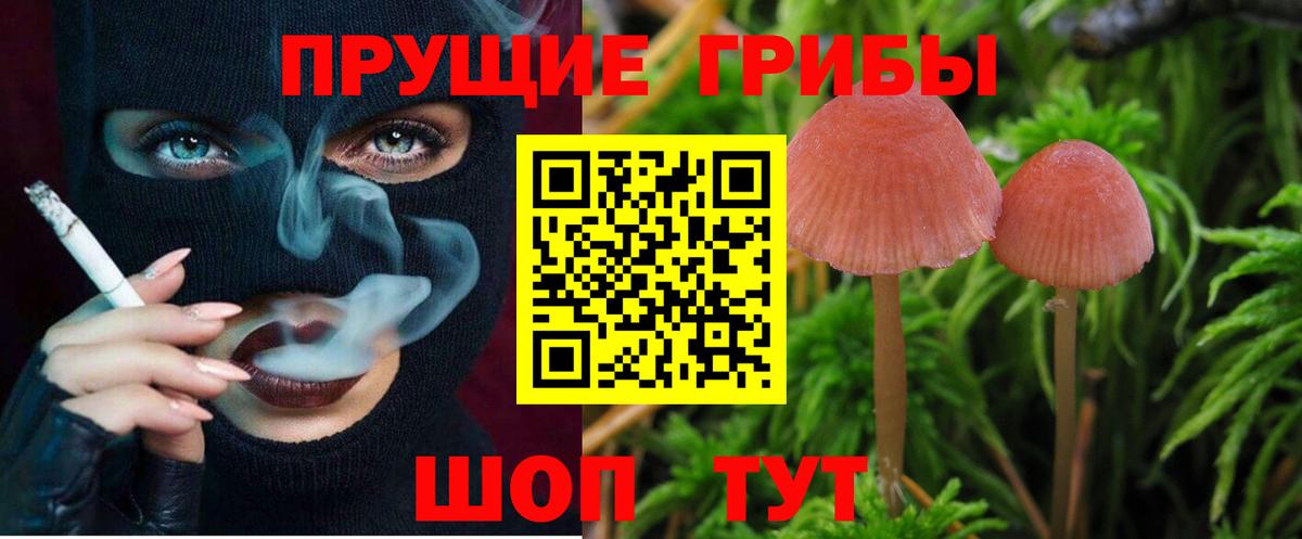 Псилоцибиновые грибы Magic Shrooms Шадринск