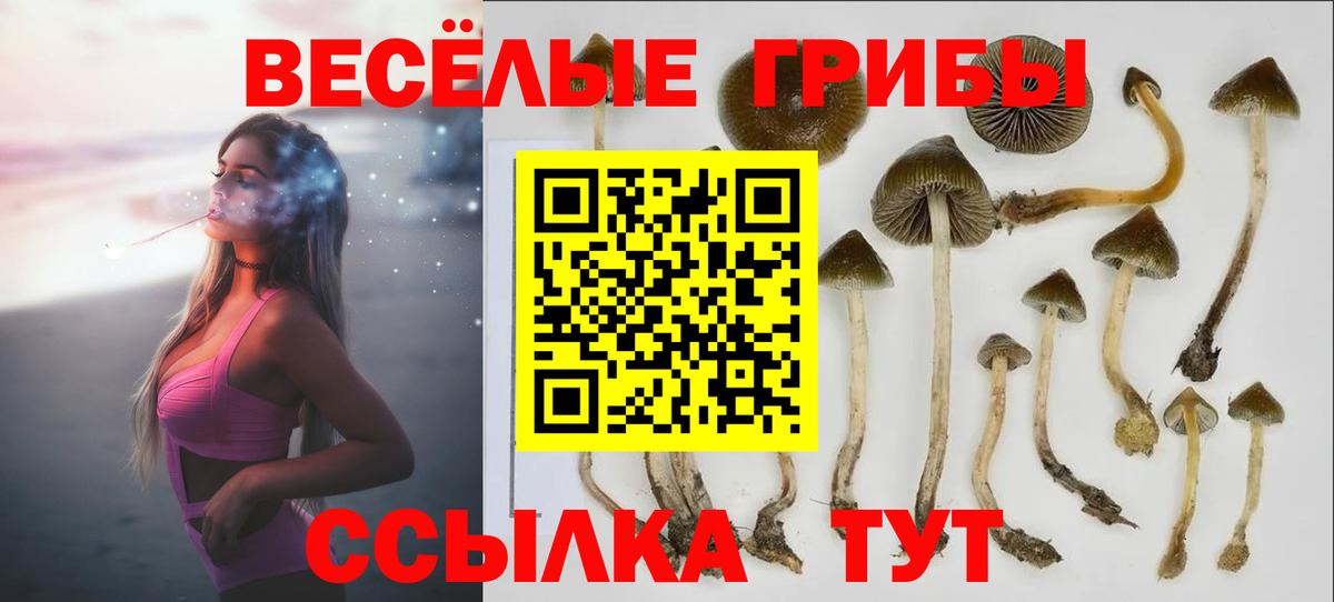 Шадринск  Псилоцибиновые грибы Cubensis  наркошоп  Вход с VPN 